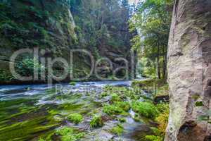 Canyon scenery and trails Kamnitz Gorge in the Czech Switzerland