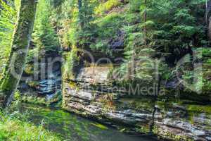 Canyon scenery and trails Kamnitz Gorge in the Czech Switzerland