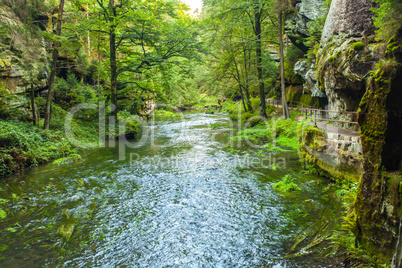 Canyon scenery and trails Kamnitz Gorge in the Czech Switzerland