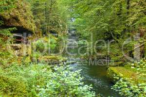 Canyon scenery and trails Kamnitz Gorge in the Czech Switzerland