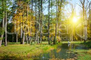 Scenic autumn landscape: park, ornamental lake and sunset