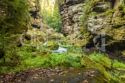 Canyon scenery and trails Kamnitz Gorge in the Czech Switzerland