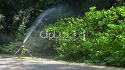 sprinkler watering the plants in park.