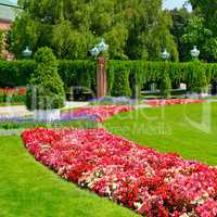 summer park with flower bed and green lawn