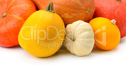 ripe pumpkins isolated on white background
