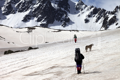 Two hikers with dog at spring snowy mountains in sun day
