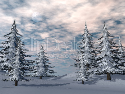 Winter fir trees landscape - 3D render