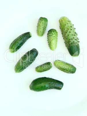 cucumbers isolated on the white