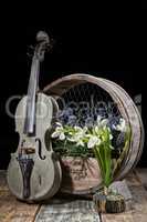 Violin And Flowers