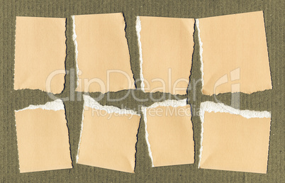 Vintage looking Yellow Torn paper pieces