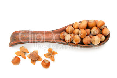 hazelnuts in a clay spoon isolated on white background
