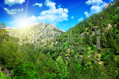 beautiful mountain landscape and sunrise