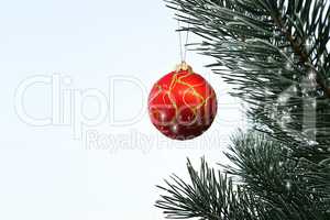 Christmas ball hanging on a pine tree in the forest