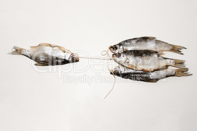 Dry fish isolated on white background