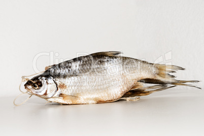 Dry fish isolated on white background