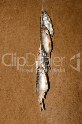 Dry fish isolated on a wooden background