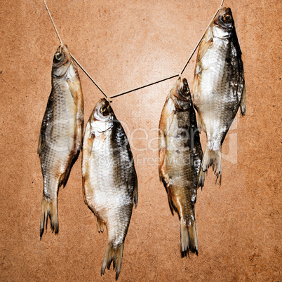 Dry fish isolated on a wooden background