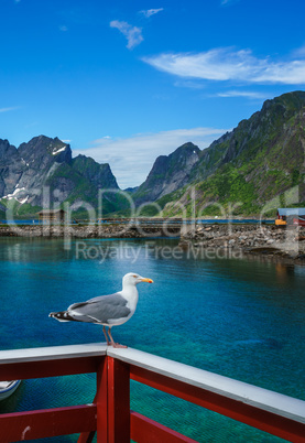 Lofoten archipelago islands