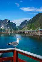 Lofoten archipelago islands