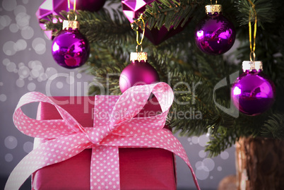 Gift With Tree, Bokeh, Copy Space