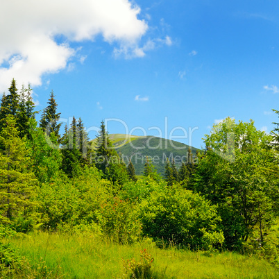 scenic mountains, meadows and blue sky