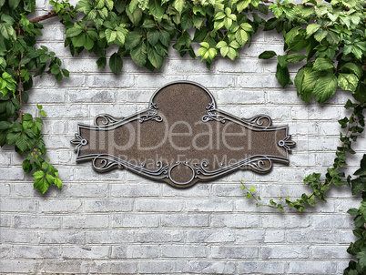 Vintage cast metal plate and climbing plant on the white brick w