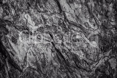 Surface of the rock in black and white