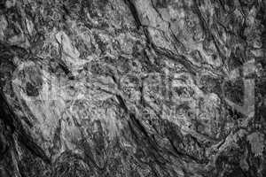 Surface of the rock in black and white