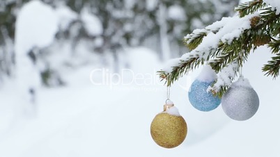 Winter Forest and Christmas Balls on the Fir-Tree