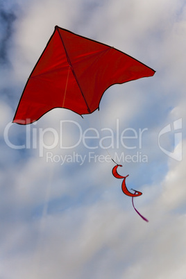 Red Kite Flying