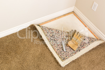 Gloves and Utility Knife On Pulled Back Carpet and Pad In Room.