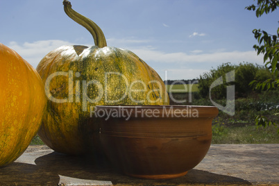 Ripe pumpkin on a wooden table