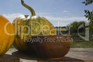 Ripe pumpkin on a wooden table