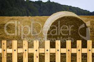 A round haystack against the blue sky on a field