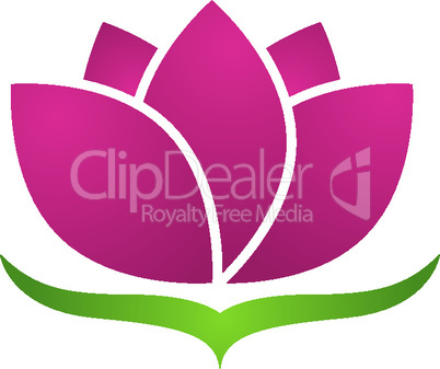 Beauty Vector flowers design logo Template icon