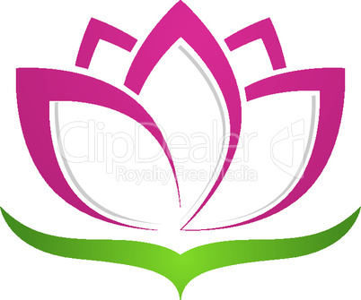 Beauty Vector flowers design logo Template icon