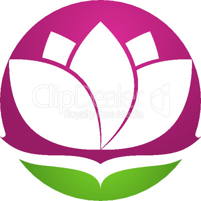 Beauty Vector flowers design logo Template icon