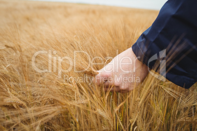 Close-up of farmer checking his crops