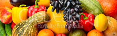 bright background of fruits and vegetables