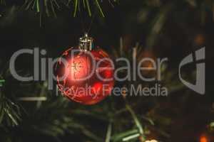 Close-up of christmas bauble hanging on christmas tree