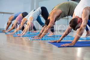 Group of people performing yoga