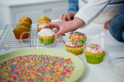 Boy placing cupcake on tray