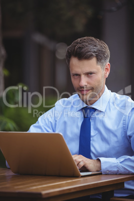 Portrait of handsome businessman using laptop