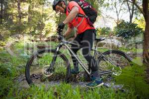 Male mountain biker riding bicycle in the forest