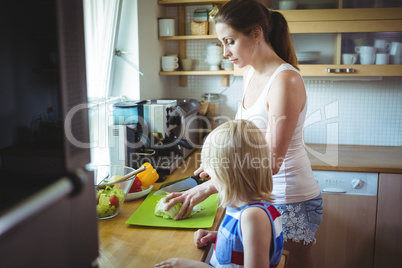 Mother and daughter chopping vegetable in the kitchen