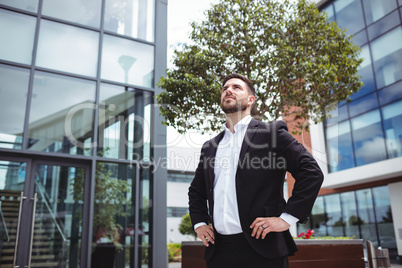 Businessman standing with hands on hips