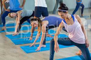 Group of people performing stretching exercise