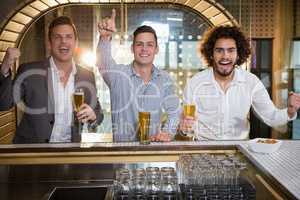 Friends raising their fist while having beer at bar counter