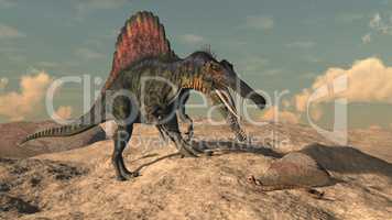 Spinosaurus dinosaur hunting a snake - 3D render