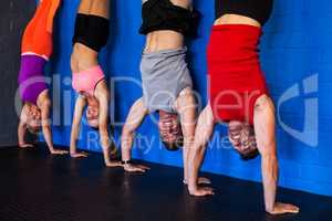 Athletes doing handstand in fitness studio